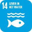 Logo SDG 14 Leven in het water 